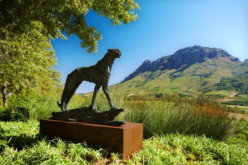 Delaire Graff Lodges And Spa Stellenbosch Exterior photo
