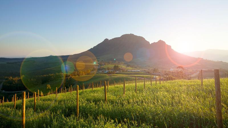 Delaire Graff Lodges And Spa Stellenbosch Exterior photo